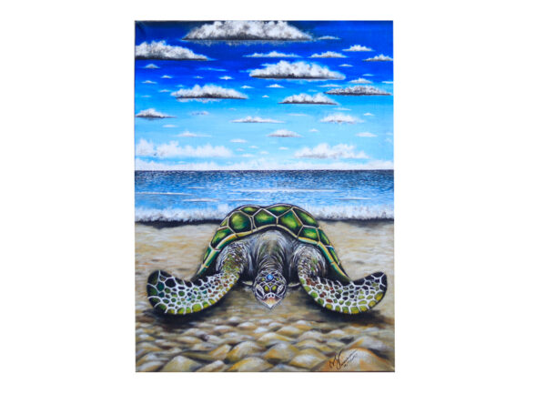 la tortuga